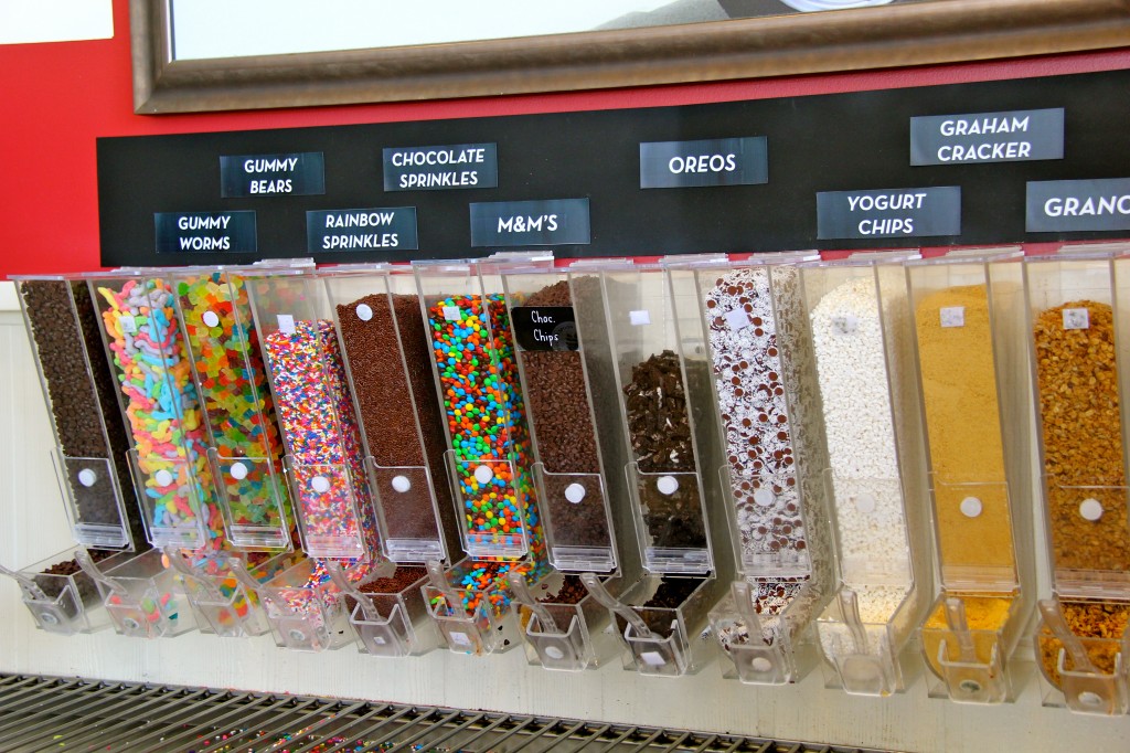 frozen yogurt toppings