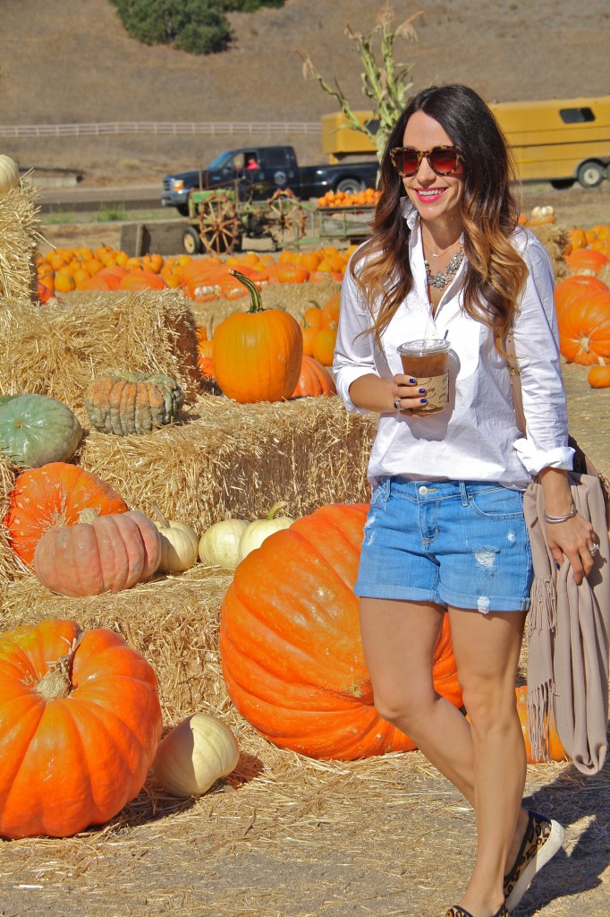 denim shorts, white shirt 