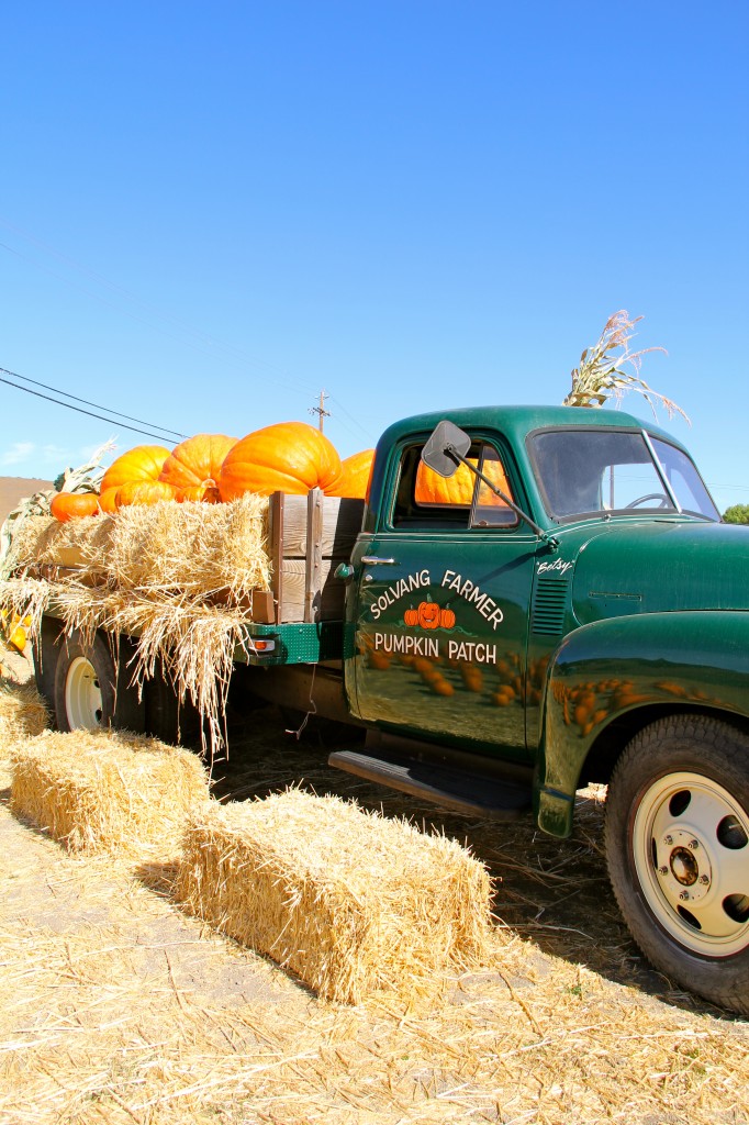 solvang pumpkin patch