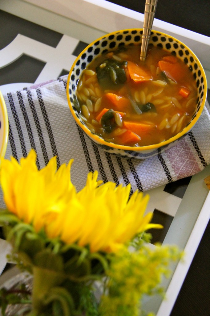 orzo veggie soup