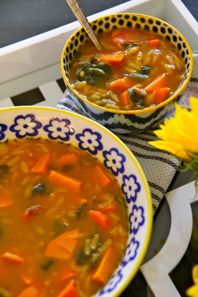 orzo veggie soup