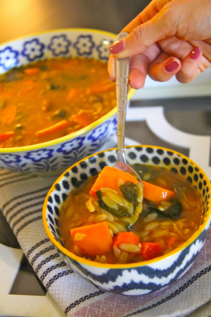 orzo veggie soup