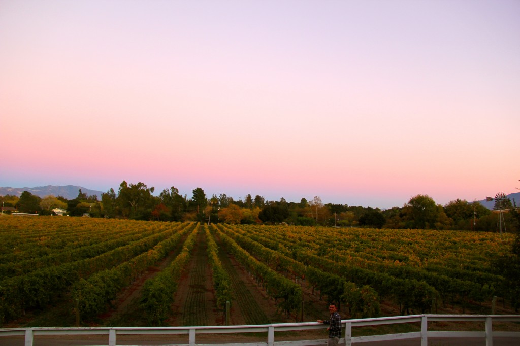 sunset at Lincourt Winery