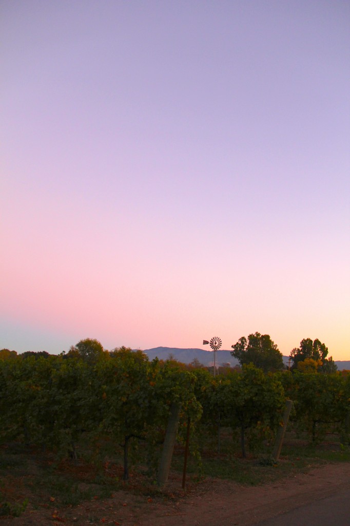 Sunset at Lincourt Winery