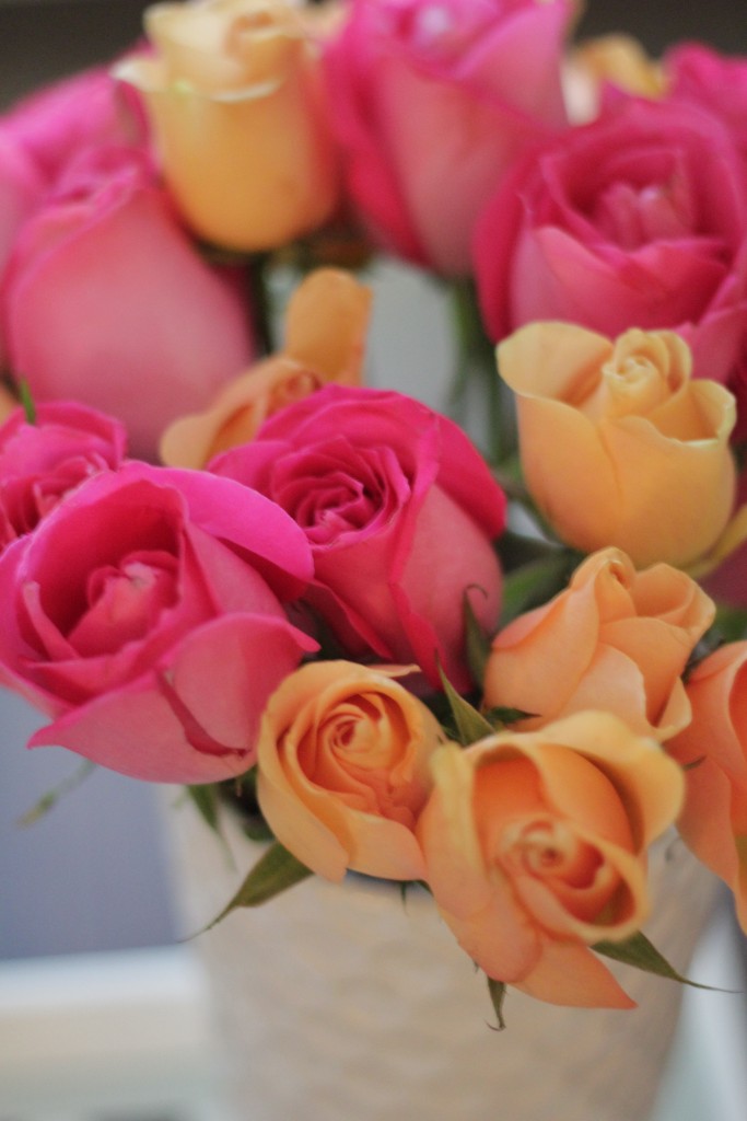 pink and orange roses 
