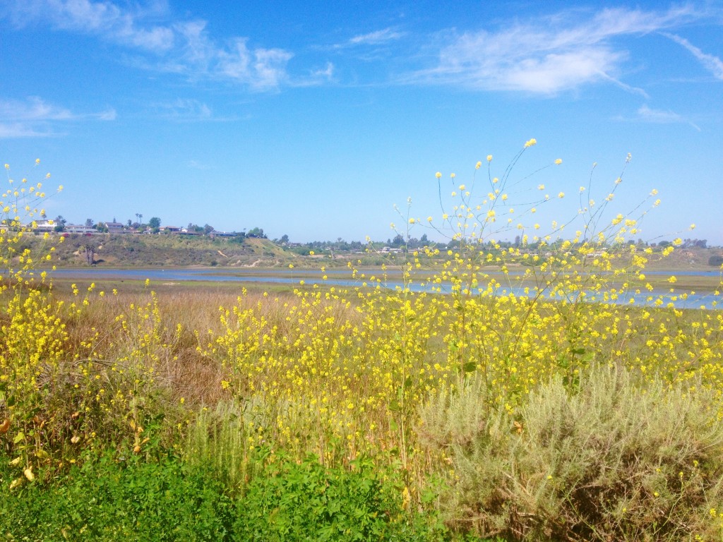 newport beach ca back bay