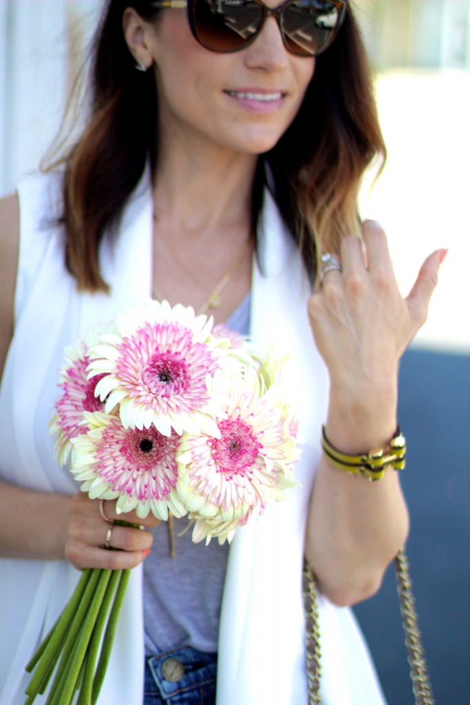 pink and white gerber daisies 