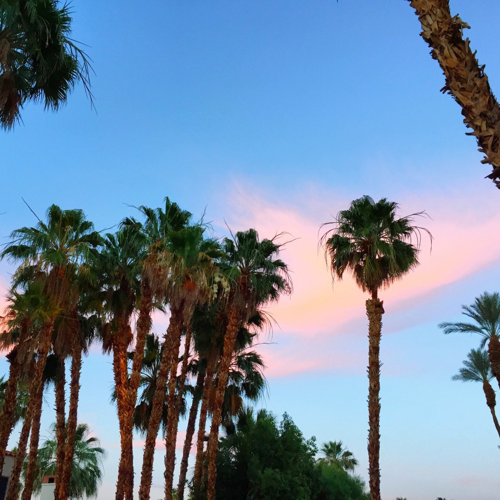 Palm Springs Sunset, itsy bitsy indulgences 