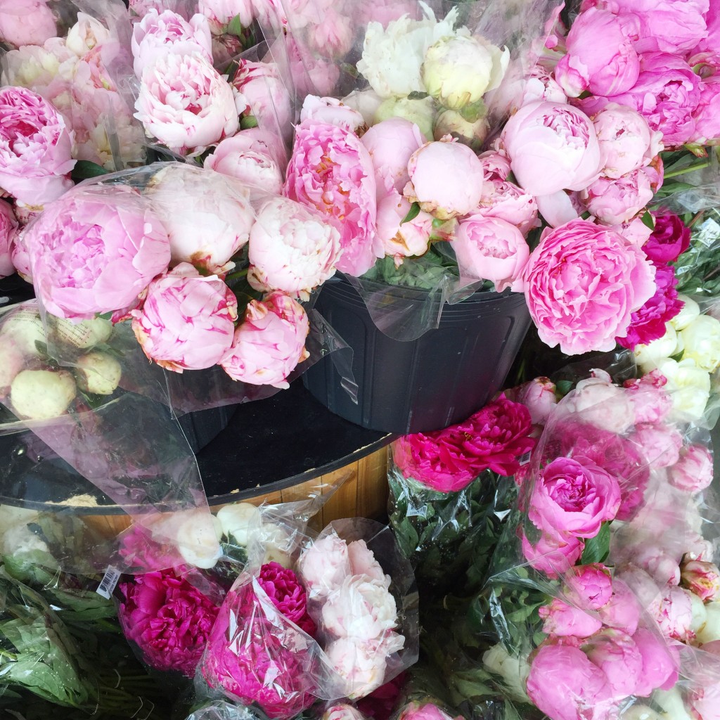 peonies, itsy bitsy indulgences 