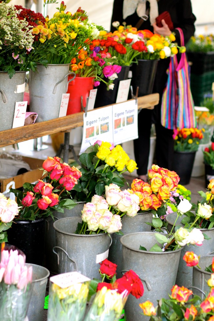 Lucerne flowers // itsy bitsy indulgences 