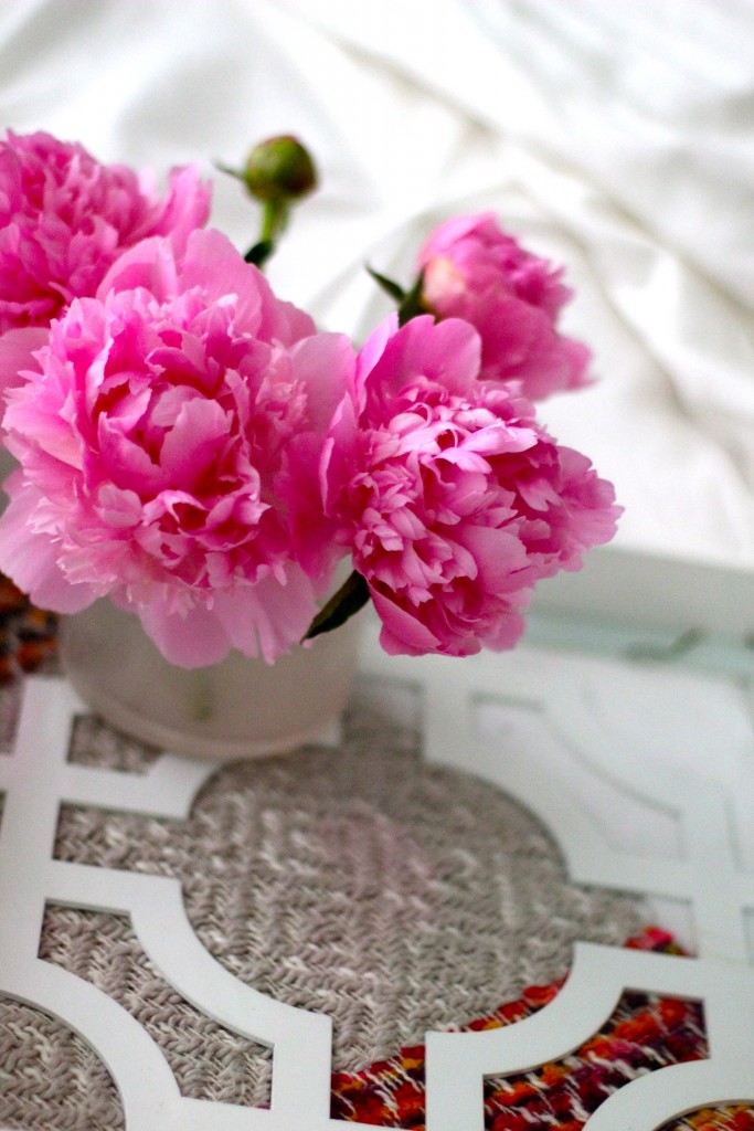 blooming peonies, itsy bitsy indulgences 