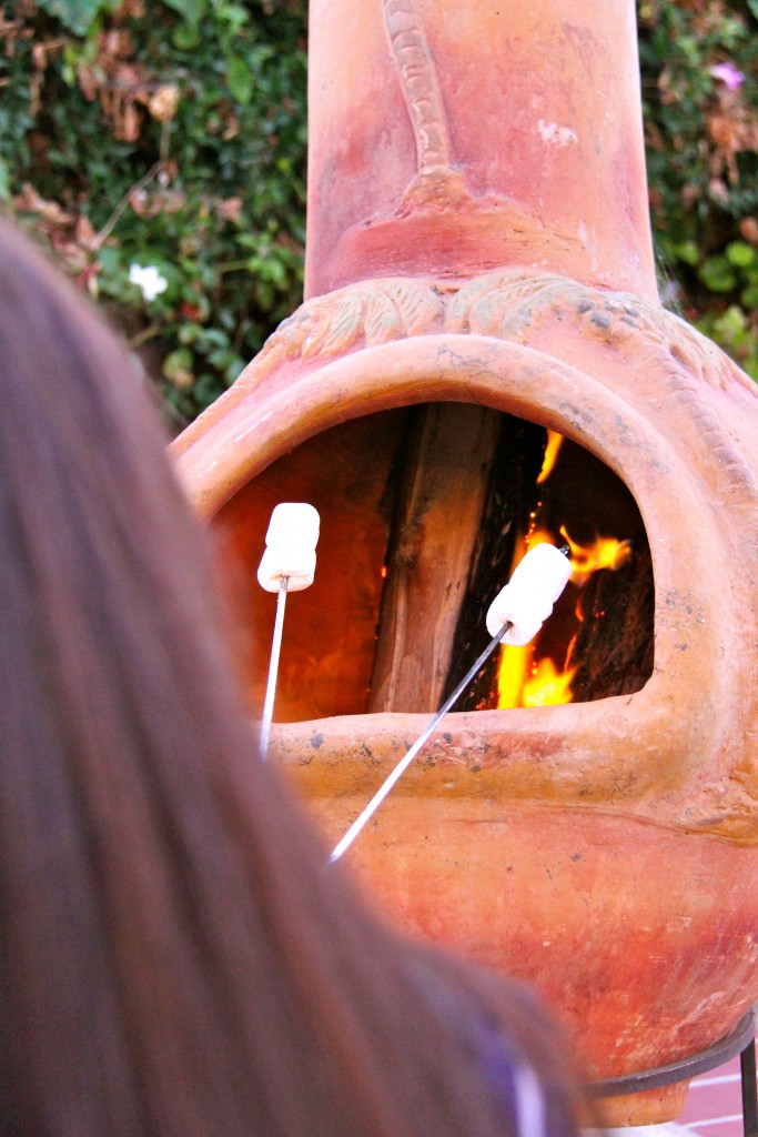 roasting smores 