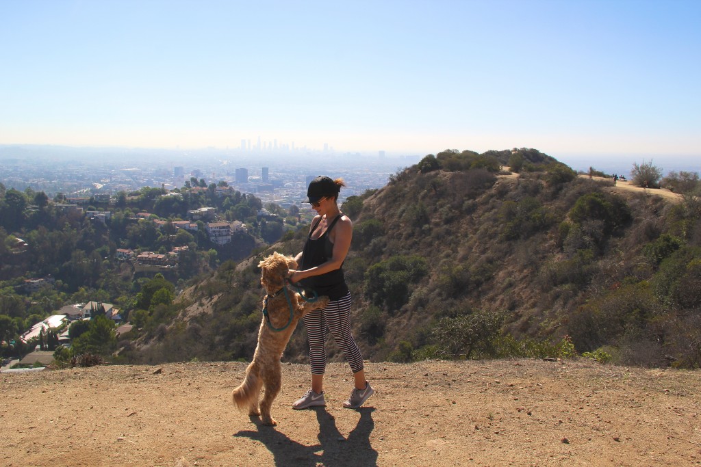 runyon canyon, itsy bitsy indulgences 