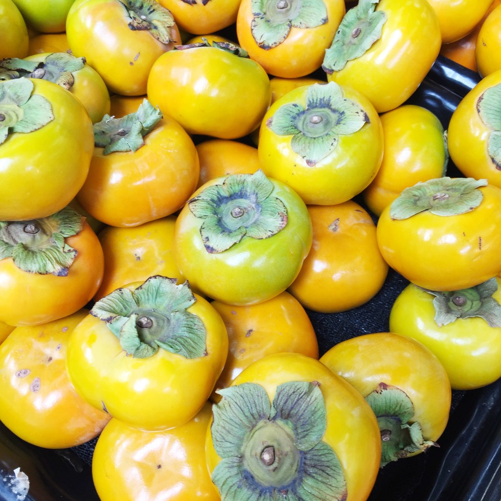 persimmons, itsy bitsy indulgences 