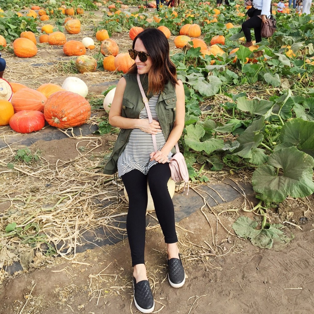 pumpkin patch, itsy bitsy indulgences 