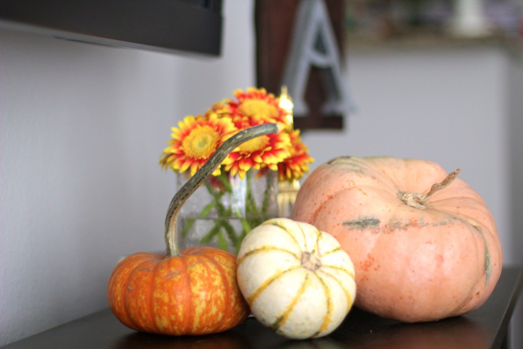 fall decor, itsy bitsy indulgences 