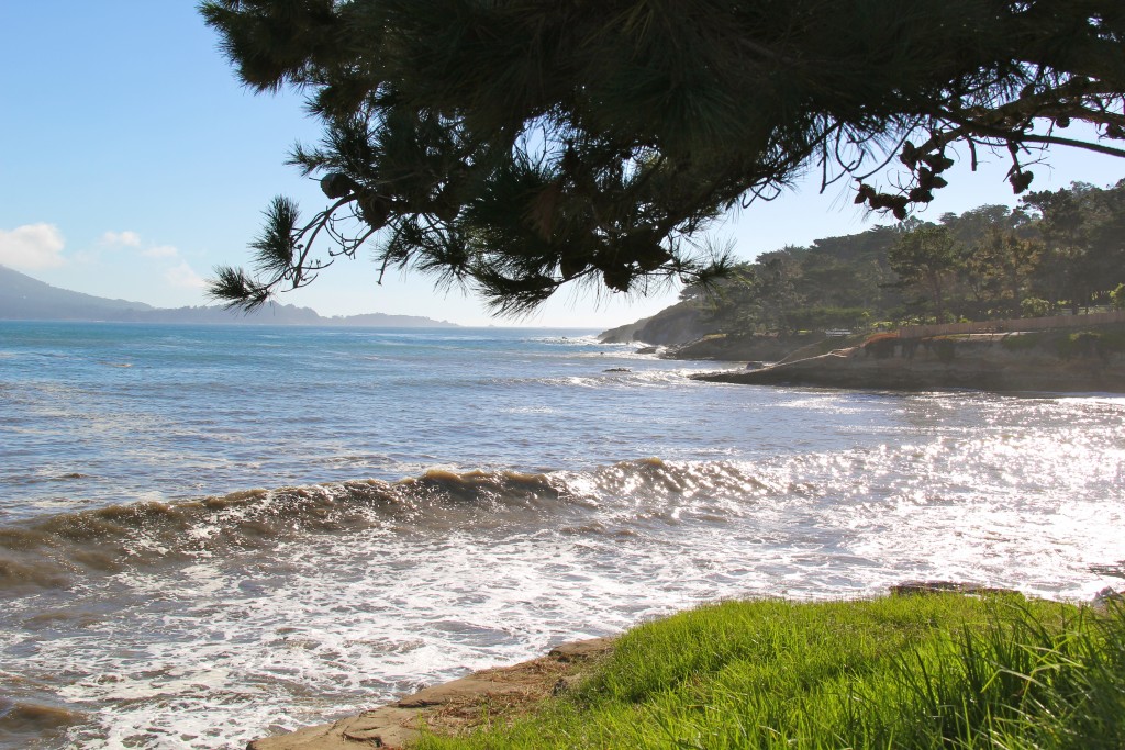 pebble beach, itsy bitsy indulgences 