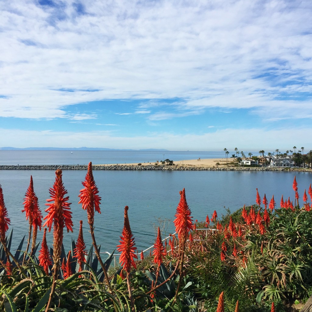 corona del mar ca, itsy bitsy indulgences 