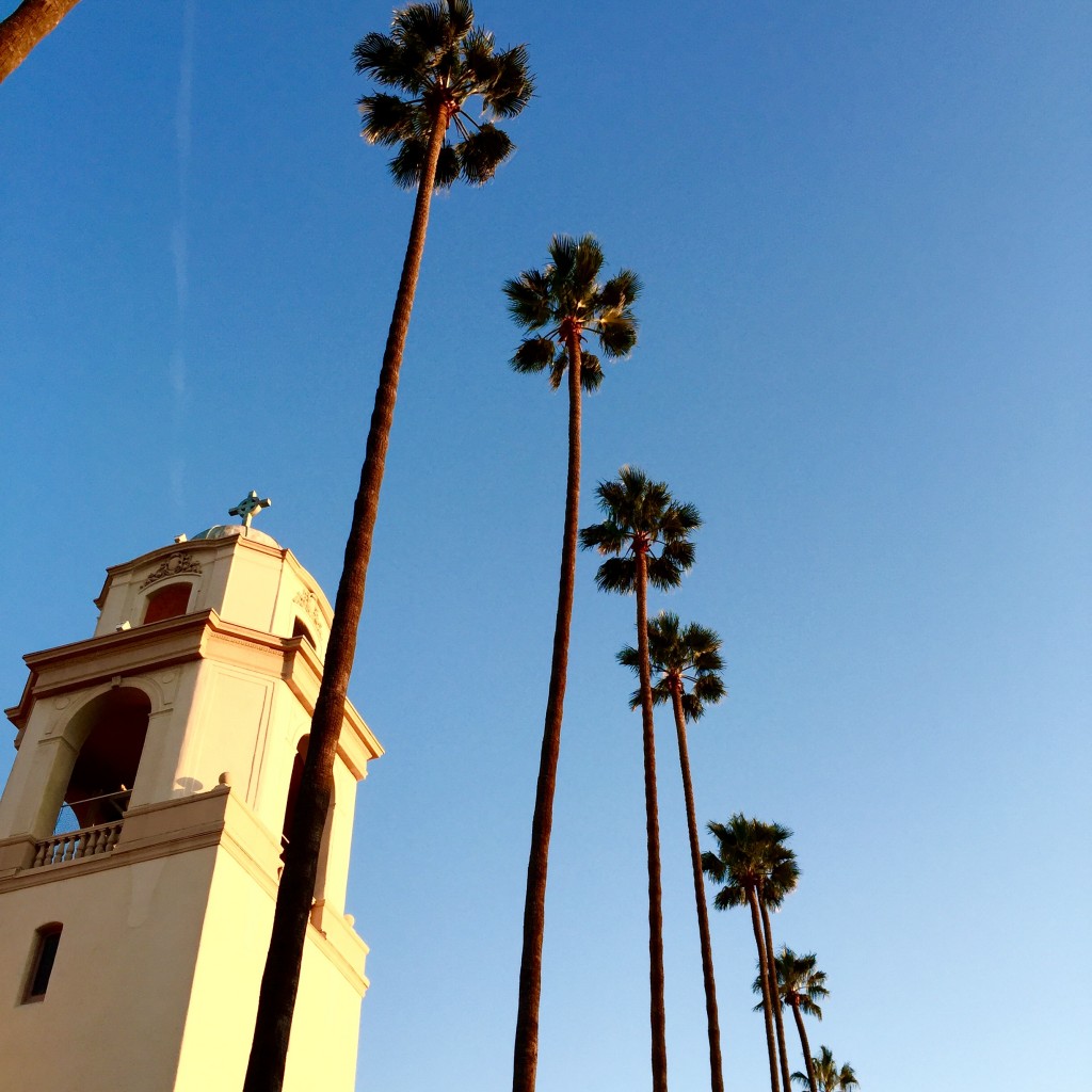 CA palm trees, itsy bitsy indulgences