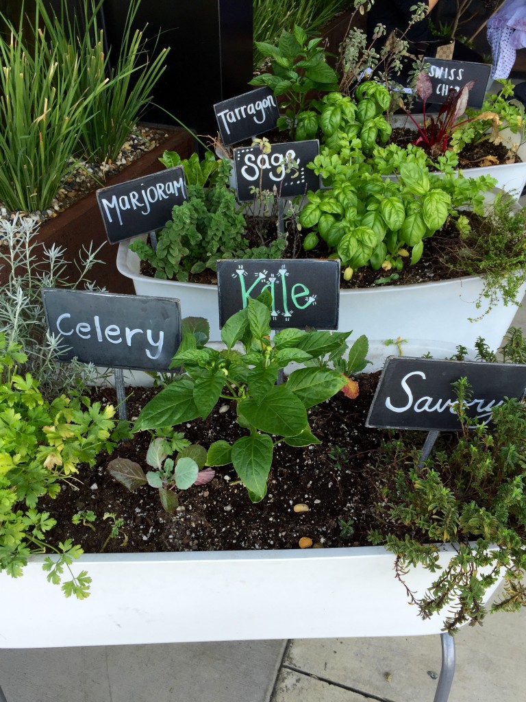 herb garden true foods, itsy bitsy indulgences 