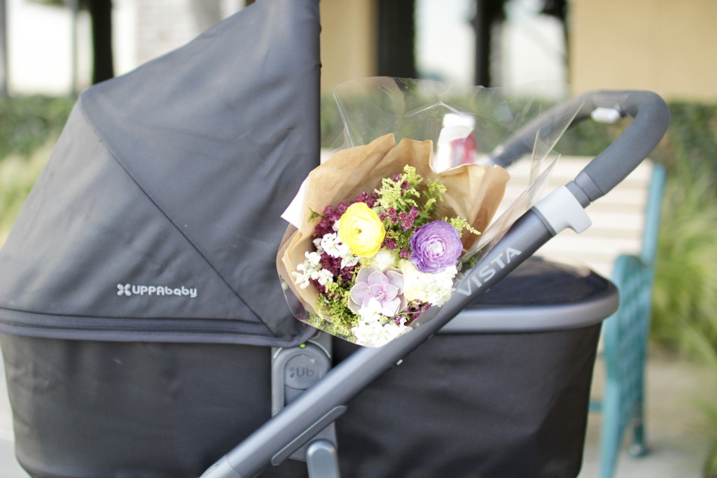 uppababy stroller review, itsy bitsy indulgences 