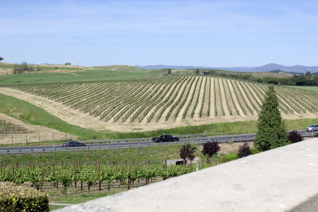 domaine carneros, itsy bitsy indulgences 