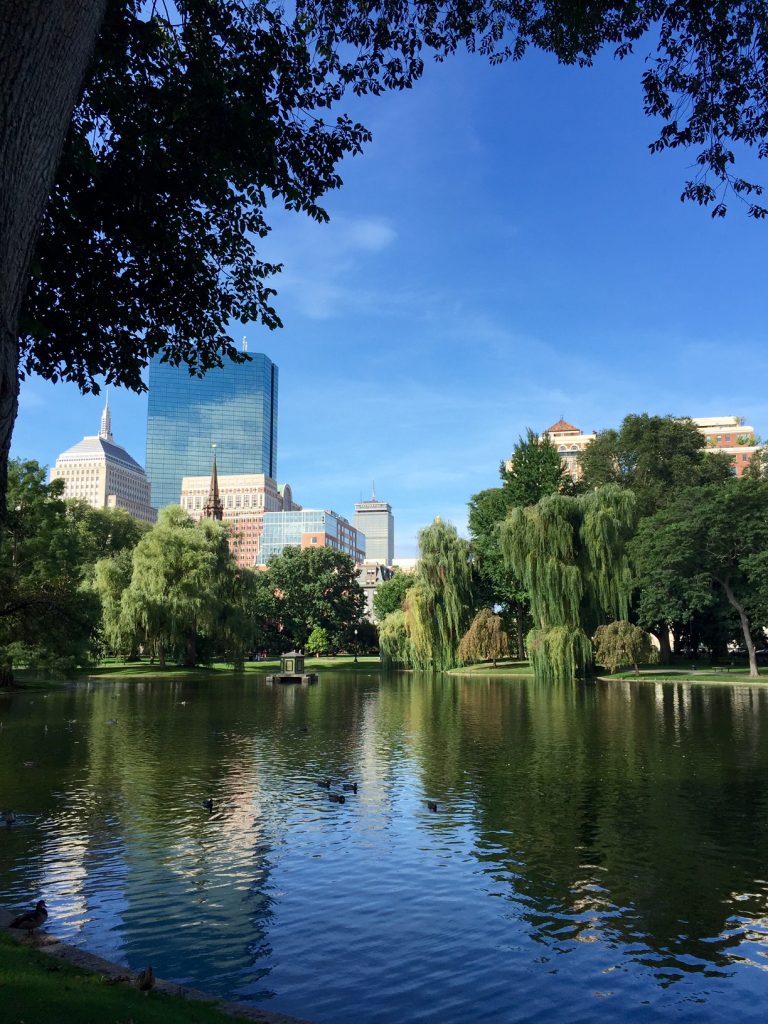 boston commons, itsy bitsy indulgences 