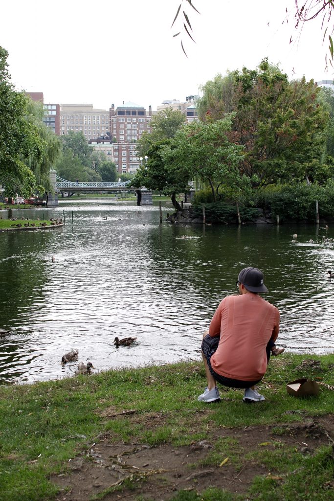 boston commons, itsy bitsy indulgences 