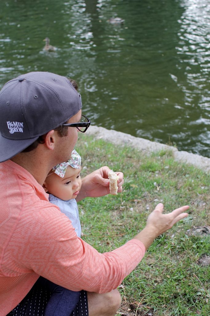 boston commons, itsy bitsy indulgences 