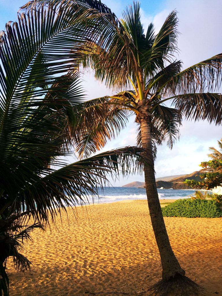 sandy beach oahu, itsy bitsy indulgences 